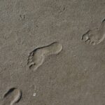 telling the truth stepping forward