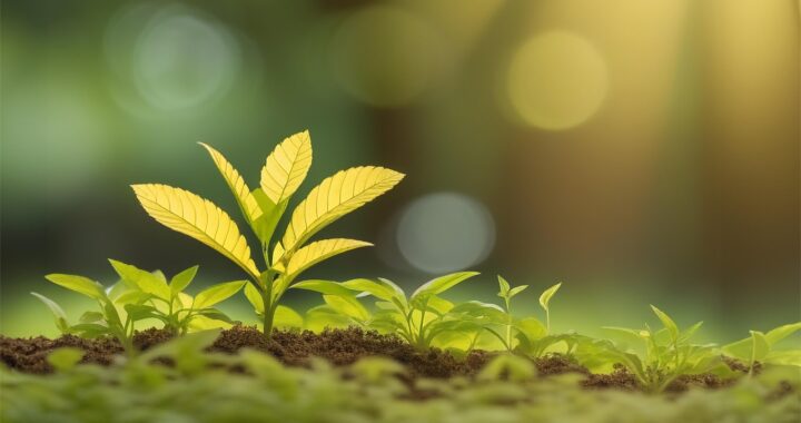 trust building through growth at work